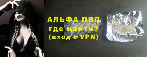 хмурый Алзамай