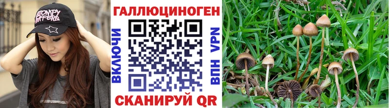 Галлюциногенные грибы прущие грибы  наркошоп  KRAKEN ONION  Приволжский 